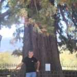 Дмитрий, 39 лет